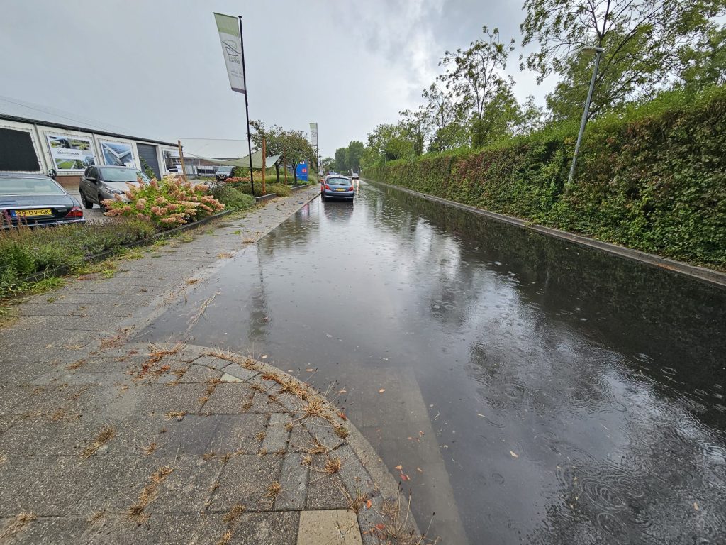 MORGEN! op werkbezoek bij Zwartgroen in Andijk